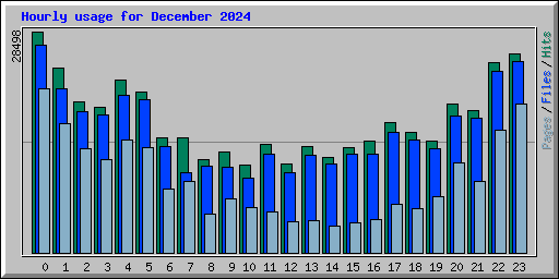 Hourly usage for December 2024