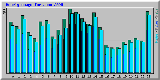 Hourly usage for June 2025