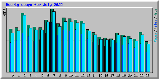 Hourly usage for July 2025