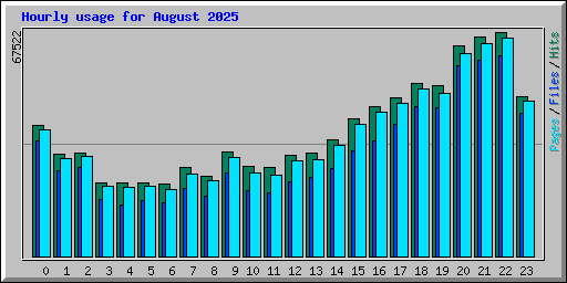 Hourly usage for August 2025
