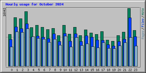 Hourly usage for October 2024