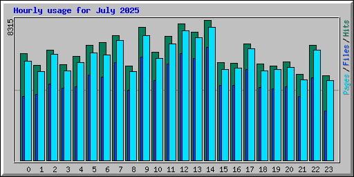 Hourly usage for July 2025
