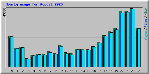 Hourly usage for August 2025